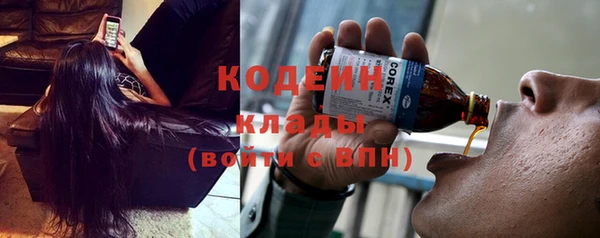 эйфоретик Вяземский