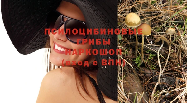 эйфоретик Вяземский