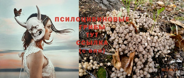 спайс Вязники