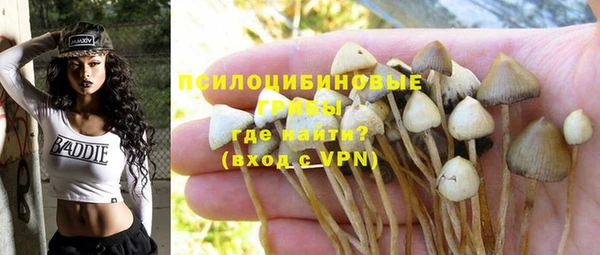 герыч Вязьма